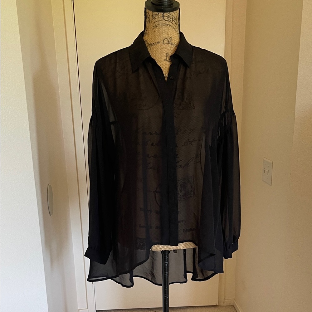 Express Black Sheer Blouse - Picture 1 of 5